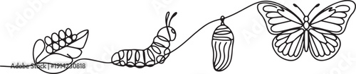 Continuous one line drawing of butterfly life cycle. One line drawing illustration of butterfly metamorphosis. one line Art icon drawing vector
