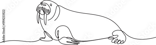 Continuous one line drawing of ocean walrus. One line drawing illustration of ocean seal. one line Art icon drawing vector