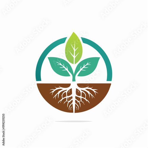 Green leaf plant with roots and circular frame, symbol of growth and nature