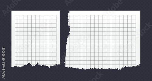 Realistic Torn White Paper Texture with Ripped Edges on Transparent Background