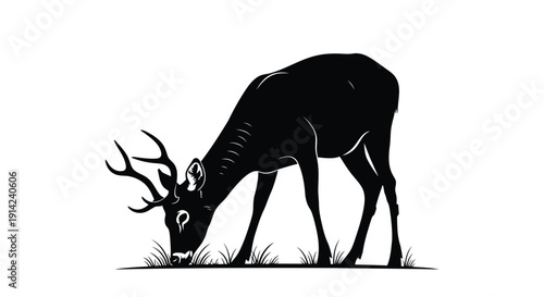 Deer silhouette grazing in grassy field black shadow