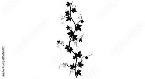 Black Silhouette Of A Leafy Vine Plant Against A White Background