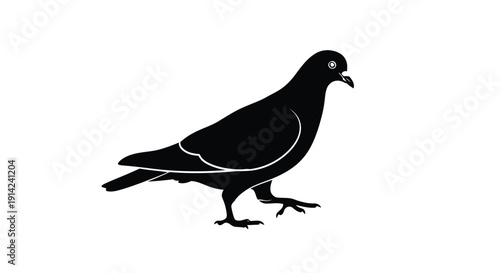Black silhouette of a pigeon walking on a white background