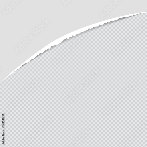 Realistic Torn White Paper Texture with Ripped Edges on Transparent Background