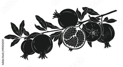 Black silhouette pomegranate branch with leaves and fruit on white background