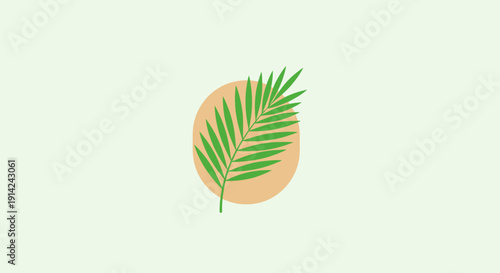 A vibrant overhead shot of professional photographers selecting high-quality digital assets from an expansive library of premium stock photography on a modern studio table