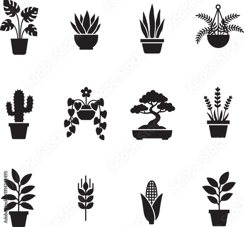 Plant Collection Silhouette: A visually engaging illustration showcases a curated collection of diverse plants in silhouette, highlighting a range of botanical forms and textures.