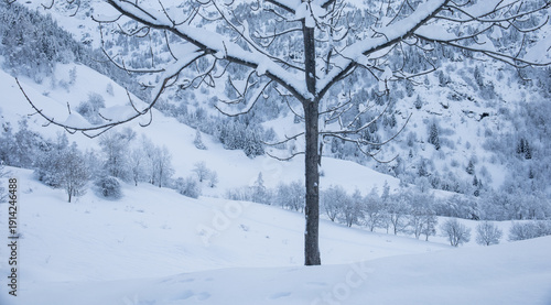 Konstfotografi paysage hivernal, neige , couche de neige, sentier alpin, hiver, alpes, froid, a