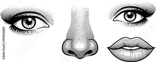 Minimal Halftone Human Nose Illustration