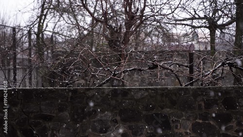 Bare tree branches covered with light snow above stone wall during snowfall. Outdoor winter nature footage in natural environment. Cold weather and winter season concept for design and video.