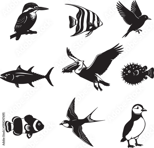 Aquatic and Avian Essence: A collection of diverse illustrations showcasing the beauty of marine and avian life, presented in a classic black and white style.