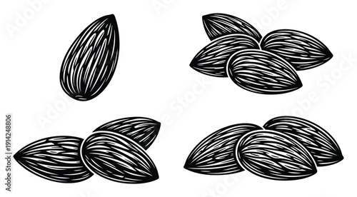 Almond Seeds Black White Hand Drawn Vector Illustration