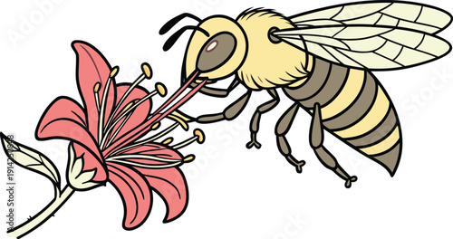 Delicate moment of a bee collecting nectar from a stunning red lily flower, capturing the beauty of nature and pollination process