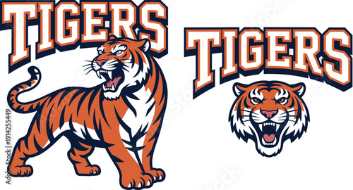 Fierce orange and navy blue tigers with roaring tiger head and full body tiger for sports team branding and mascot