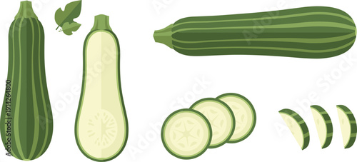Zucchini Vector Set with Whole Half and Sliced Green Courgette Fresh Organic Vegetable for Healthy Cooking and Food Illustration Design.