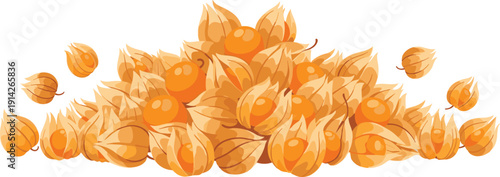 Cape Gooseberry Heap Vector Illustration with Golden Physalis Fruits in Husk Fresh Exotic Organic Berry for Healthy Food and Packaging Design.