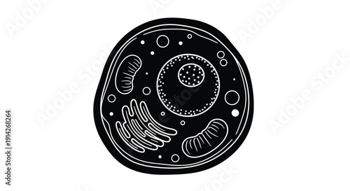 Detailed illustration of an animal cell structure with labeled organelles
