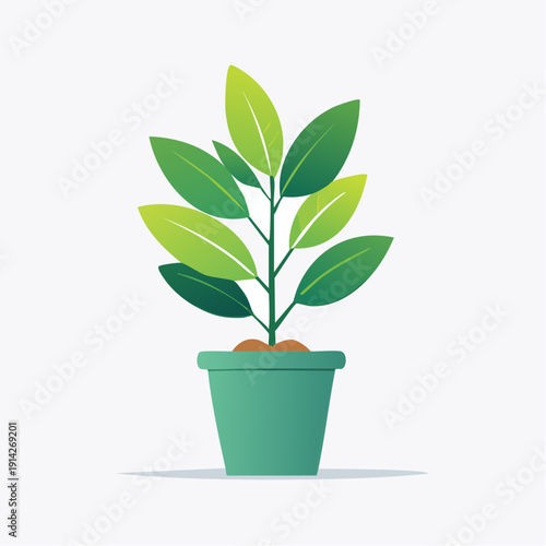 Green potted plant with leaves, symbolizing growth and nature