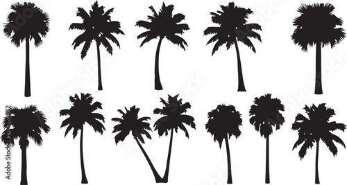 A collection of ten black and white palm tree silhouettes against a white background