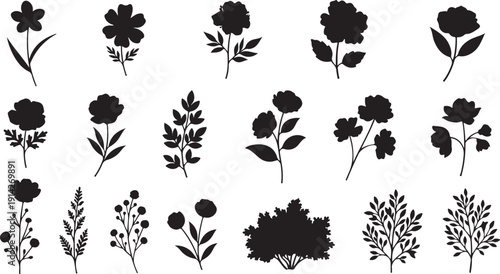 A collection of various black and white floral illustrations showcasing different plant species