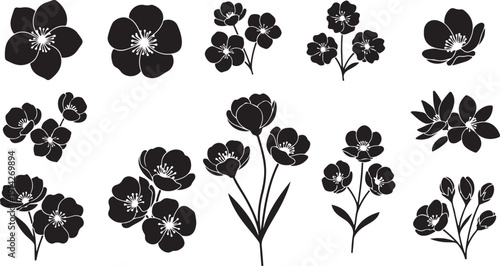 A collection of various black and white floral illustrations showcasing different types of flowers