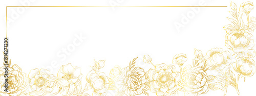 tree-like peonies with buds on a transparent background with a golden gradient border .Close-up, long . Design element