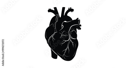 Stylized black silhouette of a human heart with visible vessels and chambers