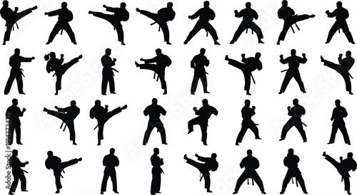 Martial arts silhouettes show dynamic fighting.