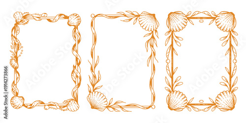 Elegant hand-drawn, coastal frames with seashells and ocean flora, detailed marine illustrations, artistic botanical elements, and seaside inspired decorative borders for creative design projects.