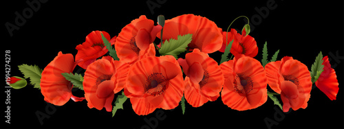 red poppy bouquet isolated on  a transparent background, close-up,long .ai