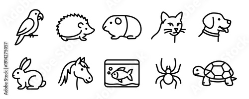 Line art icons of various pets: bird, hedgehog, guinea pig, cat, dog, rabbit, horse, fish, spider, turtle.