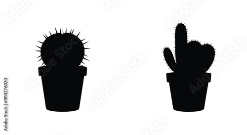 Silhouette illustrations of three potted cacti in varying shapes