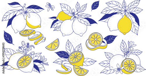 An illustration of lemons and lemon slices with leaves on a white background