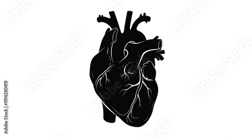 Stylized black silhouette of a human heart with visible chambers and vessels