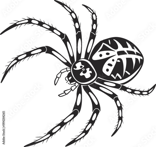 Detailed Black and White Spider Silhouette with Patterned Abdomen Vector