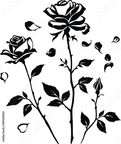 A beautiful black and white illustration of roses with petals falling off in silhouette mode