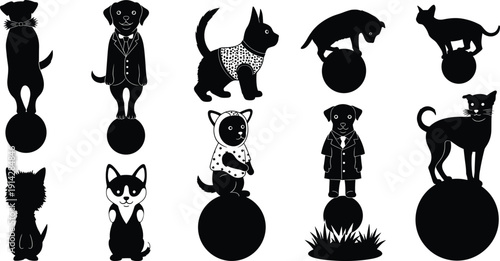 Dog cat silhouette icon set, circus pet illustration, vector graphic, playful attire symbol, balancing sphere, flat vector