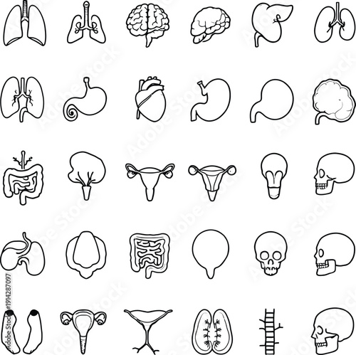 A detailed illustration of various human organs and skeletal structures in a medical context silhouette