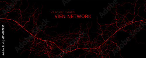 Blood Vessels Imaging Veins Vascular System Bloodstream Venous Pattern, Red Human Cardiovascular Anatomy Dynamic Stream, Medical Science Graphics, Abstract Circulation Concept. Vector Illustration