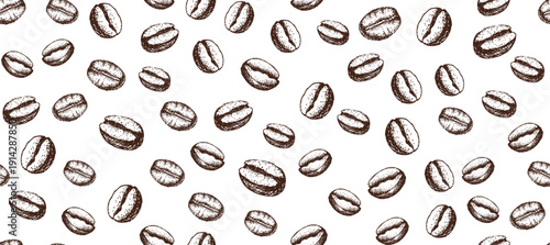 Coffee beans hand drawn on white

