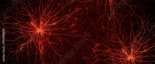 Blood Vessels Imaging Veins Vascular System Bloodstream Venous Pattern, Red Human Cardiovascular Anatomy Dynamic Stream, Medical Science Graphics, Abstract Circulation Concept. Vector Illustration
