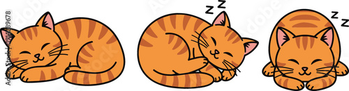 Cute sleeping orange kittens vector set with curled cartoon cat poses, adorable kawaii pet illustration for kids designs, stickers, nursery art, and prints