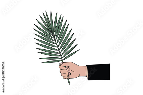 Palm leaf held by a hand with black sleeve on white background plant nature