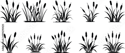 Cattail Reed and Bulrush Plant Silhouette Set, Wetland Grass Vector Illustration Collection