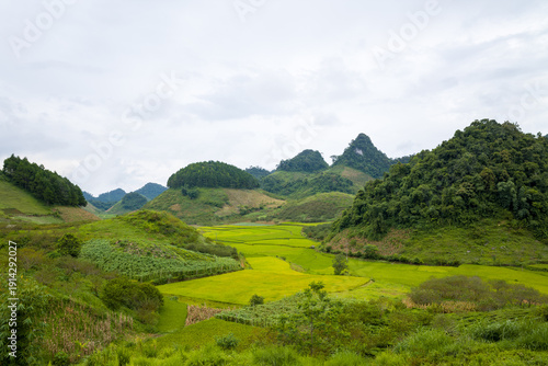 Layered rice terraces in vivid green and yellow hues stretch across a lush valley surrounded by rounded, forested hills under a cloudy sky near Mai Chau, Vietnam. The scene is tranquil and vibrant
