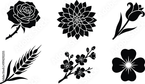 Black floral silhouette icon set, decorative rose lotus tulip and botanical design elements isolated on white background