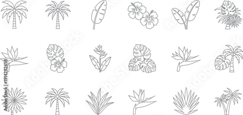 Collection of outline icons featuring various tropical flora including distinct palm trees hibiscus flowers and stylized bird of paradise blooms perfect for jungle design elements.