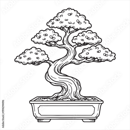 Black and White Line Drawing