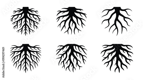 Tree Root Silhouette Icon Set. Underground Root System Black Symbols Isolated on White Background. Vector Illustration