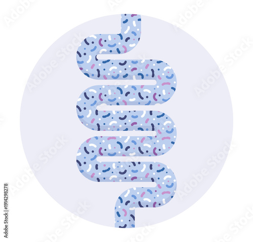 Gut health vector illustration showing probiotic and prebiotic effects on intestine bacteria and good microbiota balance